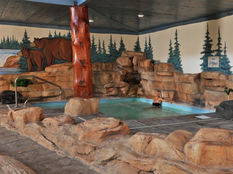 Stoney Creek Hotel St. Joseph Facilidades foto